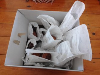 Kolejne testy wykonane, kolejny piękny, jesienny dzień- jak to ktoś powiedział "było cudnie"