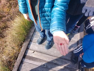 Kolejne testy wykonane, kolejny piękny, jesienny dzień- jak to ktoś powiedział "było cudnie"