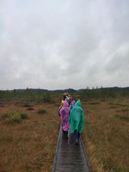 Kolejne warsztaty i oprowadzenia mimo marnej aury uważamy mimo wszystko za udane