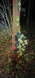 Marsz Niepodległościowy w Ciosmach – w hołdzie bohaterom