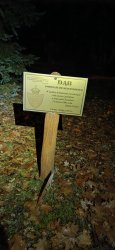 Marsz Niepodległościowy w Ciosmach – w hołdzie bohaterom