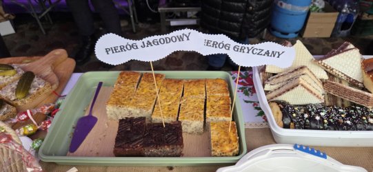 Członkowie Stowarzyszenia DĄB na Jarmarku Bożonarodzeniowym w Biłgoraju